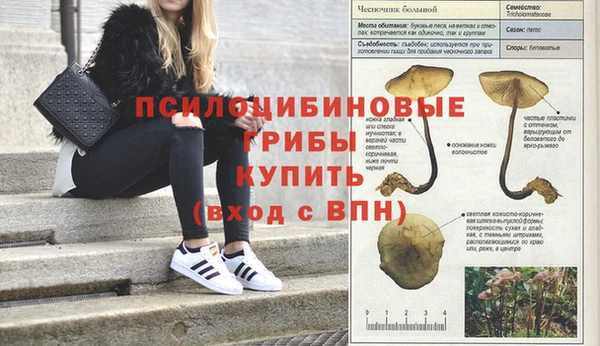 прущая мука Баксан